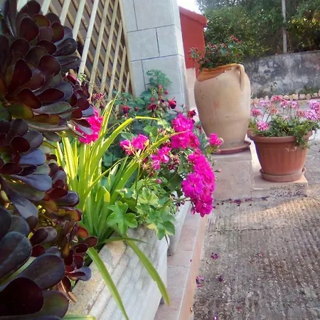 Casa Te La Bradamante Alojamento de Acomodação e Pequeno-almoço Magliano
